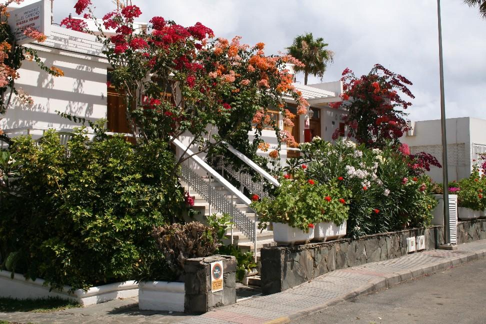 Apartamentos El Capricho Maspalomas  Dış mekan fotoğraf