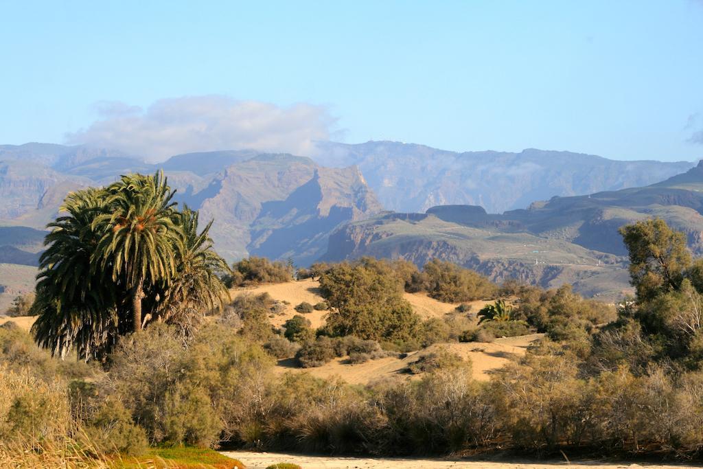 Apartamentos El Capricho Maspalomas  Dış mekan fotoğraf